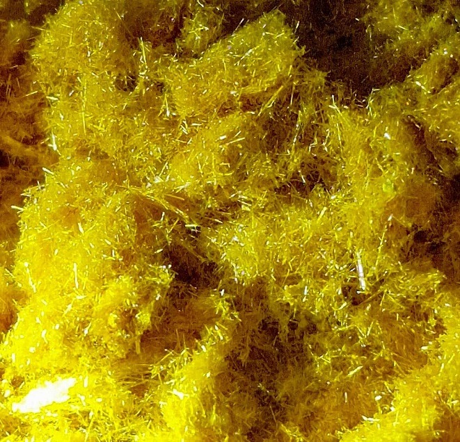 Psychedelics Available Online