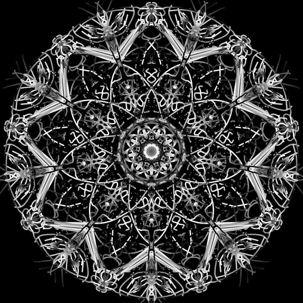 psychedelics psychedelics