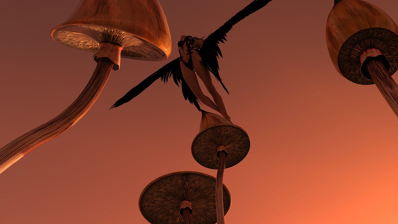 shrooms, angel, psychedelic, wings, mushrooms, psilocybe, cubensis, model, attractive, flying