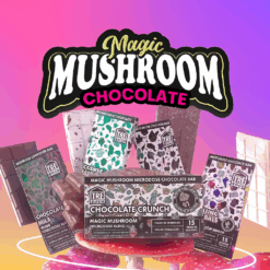 magic mushroom chocolate bar