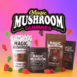 Mushroom Gummies