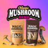 Dried Magic Mushrooms