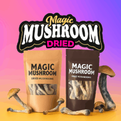 Dried Magic Mushrooms