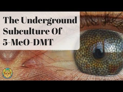 5-MeO-DMT in Traditional Indigenous Practices: Culture, Rituals & Meaning