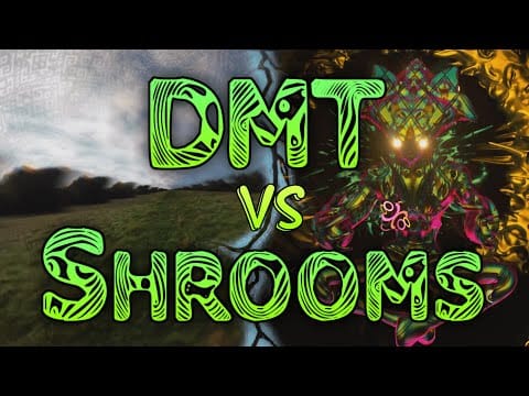 LSD, DMT, champignons magiques