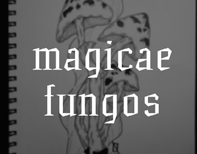 LSD, DMT, hongos mágicos