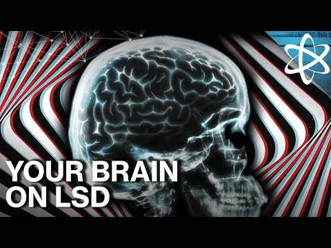 LSD, DMT, hongos mágicos