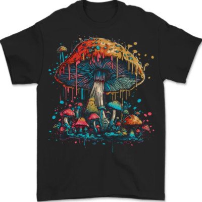 LSD , dmt, magic mushroom