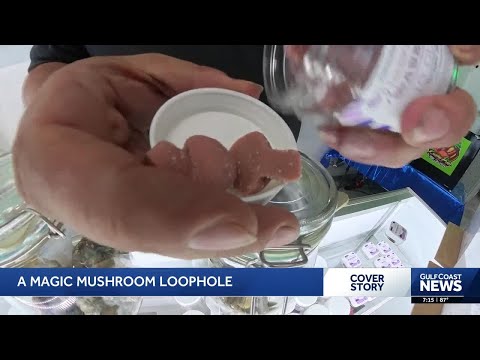 are there places to get shroom chocolates legally