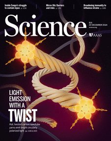 autism and psychedelics