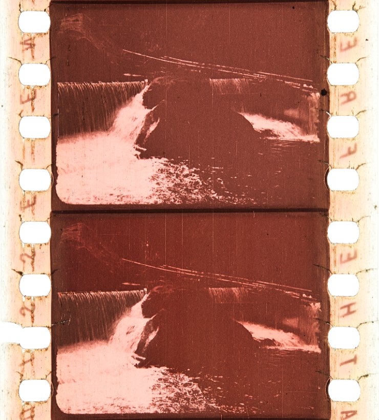 la psilocybine est elle interdite en france