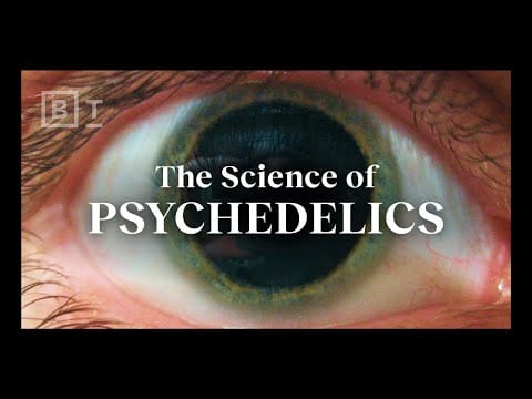 lsd psychedelics and dmts
