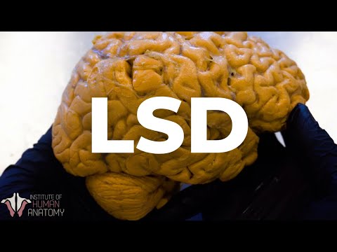 mode de consommation du lsd
