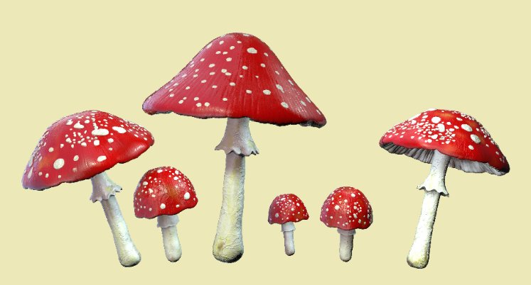 mushrooms and lsd