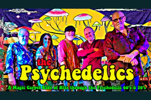 psychadelika lsd a m ty