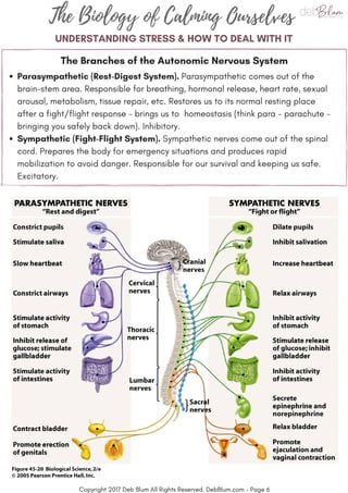 psychedelics may calm down the immune system without causing hallucinations