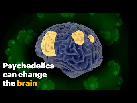 why do mostly only mushrooms have psychoactive compounds